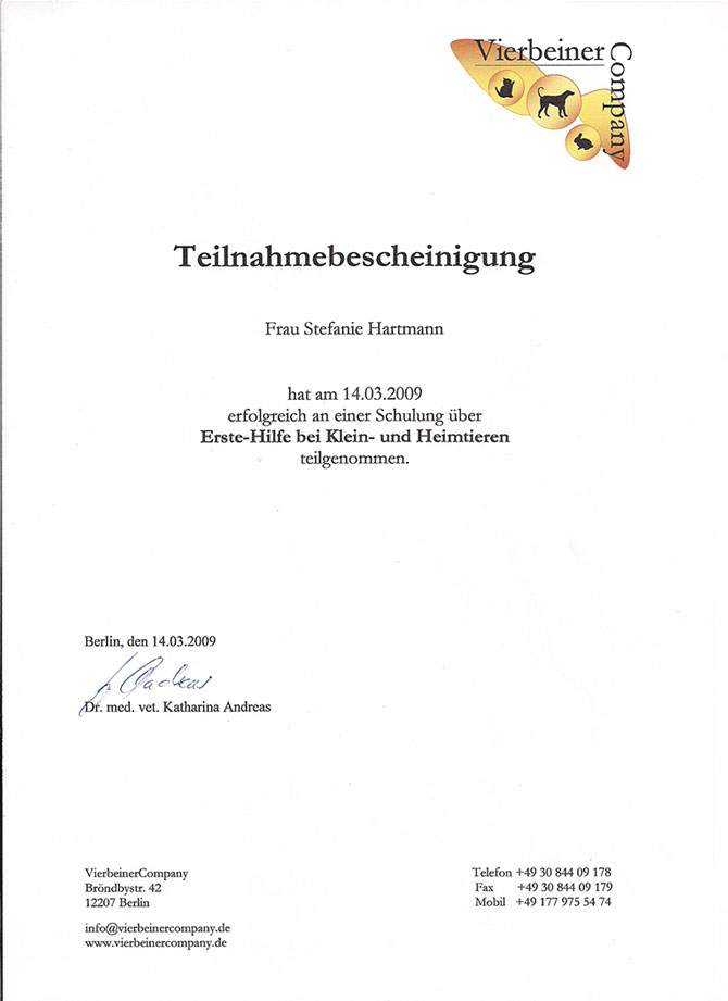 Qualifikationen Hundebetreuung