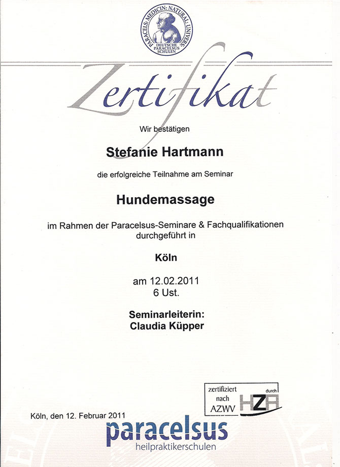 Qualifikationen Hundebetreuung