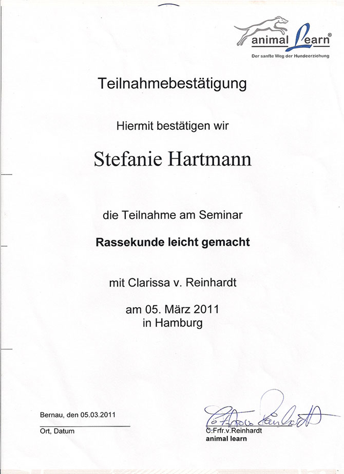 Qualifikationen Hundebetreuung