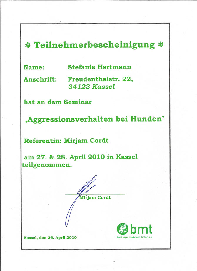 Qualifikationen Hundebetreuung