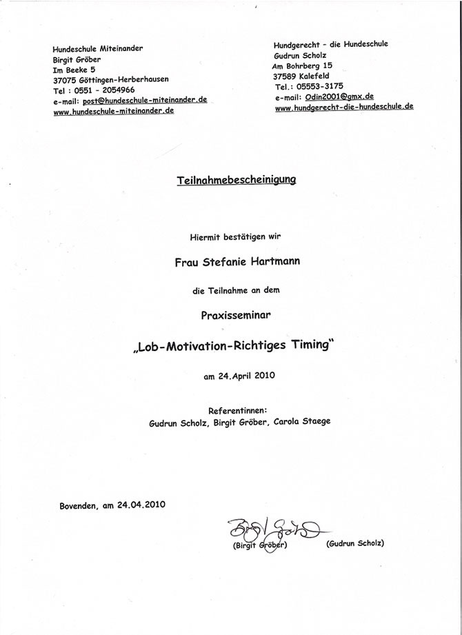 Qualifikationen Hundebetreuung
