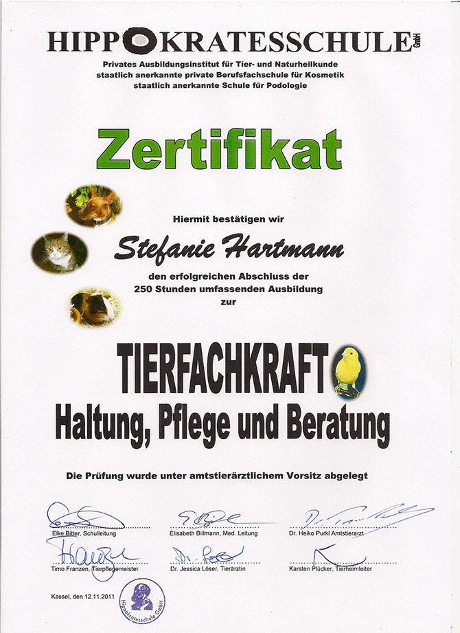 Qualifikationen Hundebetreuung
