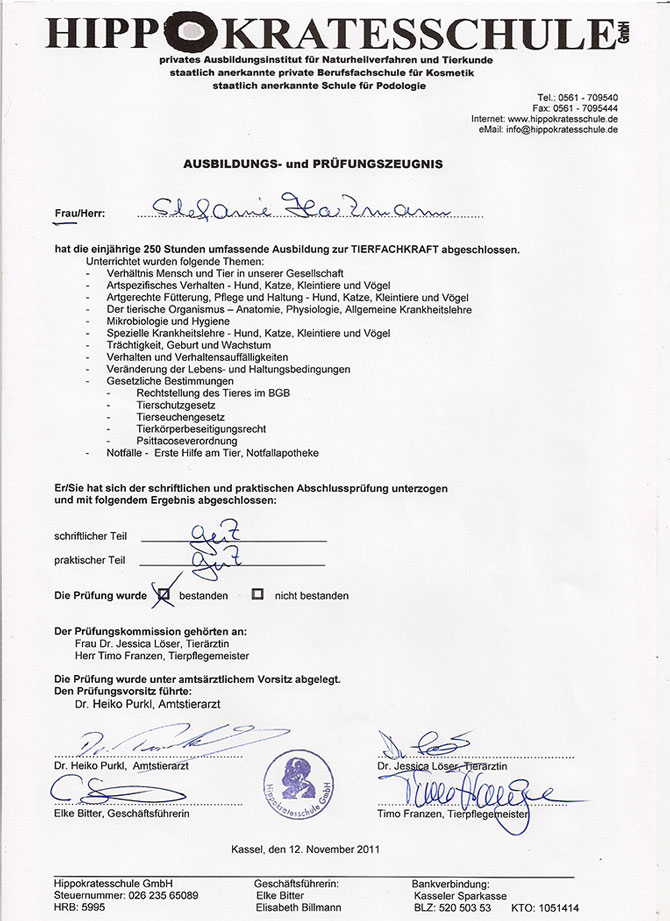 Qualifikationen Hundebetreuung