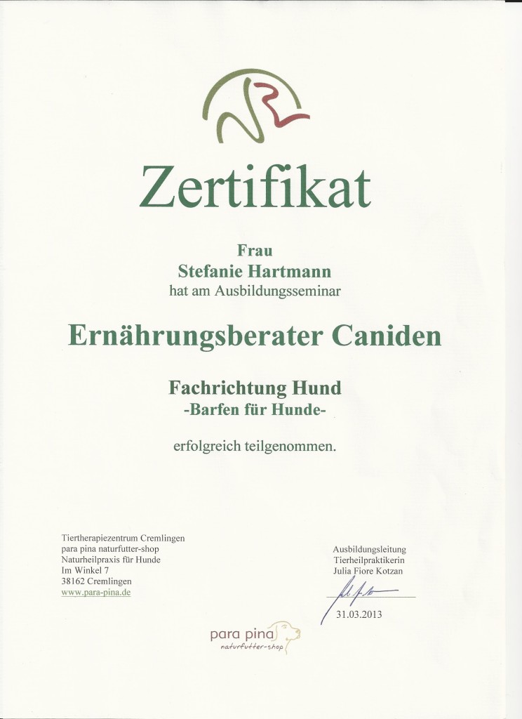Qualifikationen Hundebetreuung